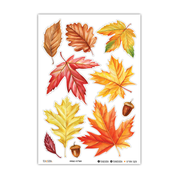 עלים שקופים